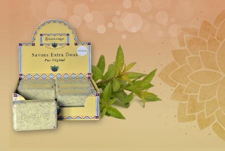 Savons VégÉtaux